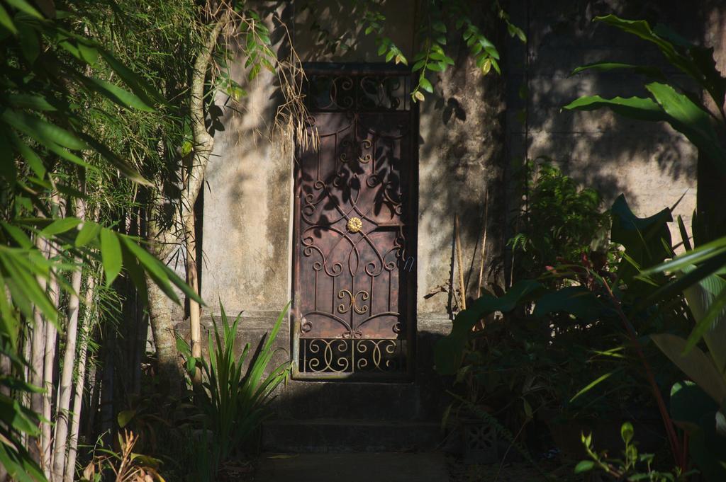 Taman Rahasia Tropical Sanctuary And Spa Ubud Extérieur photo