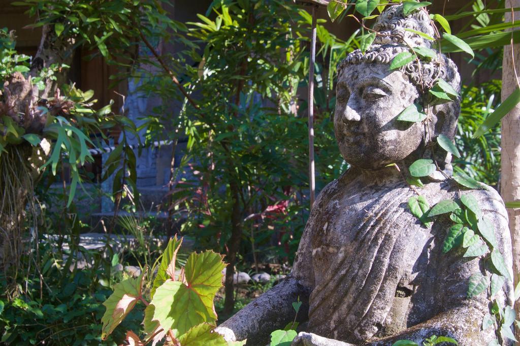Taman Rahasia Tropical Sanctuary And Spa Ubud Extérieur photo