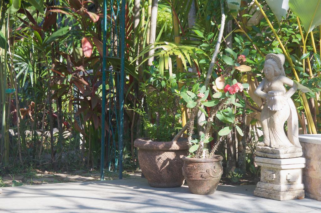 Taman Rahasia Tropical Sanctuary And Spa Ubud Extérieur photo